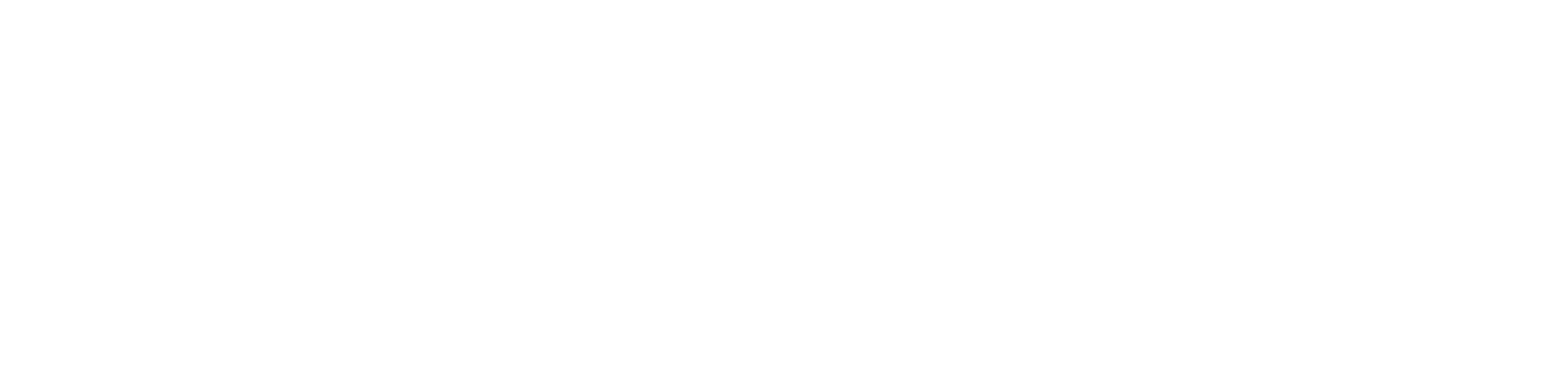 standard+ footer logo image